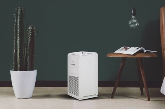 Những lưu ý khi chọn mua